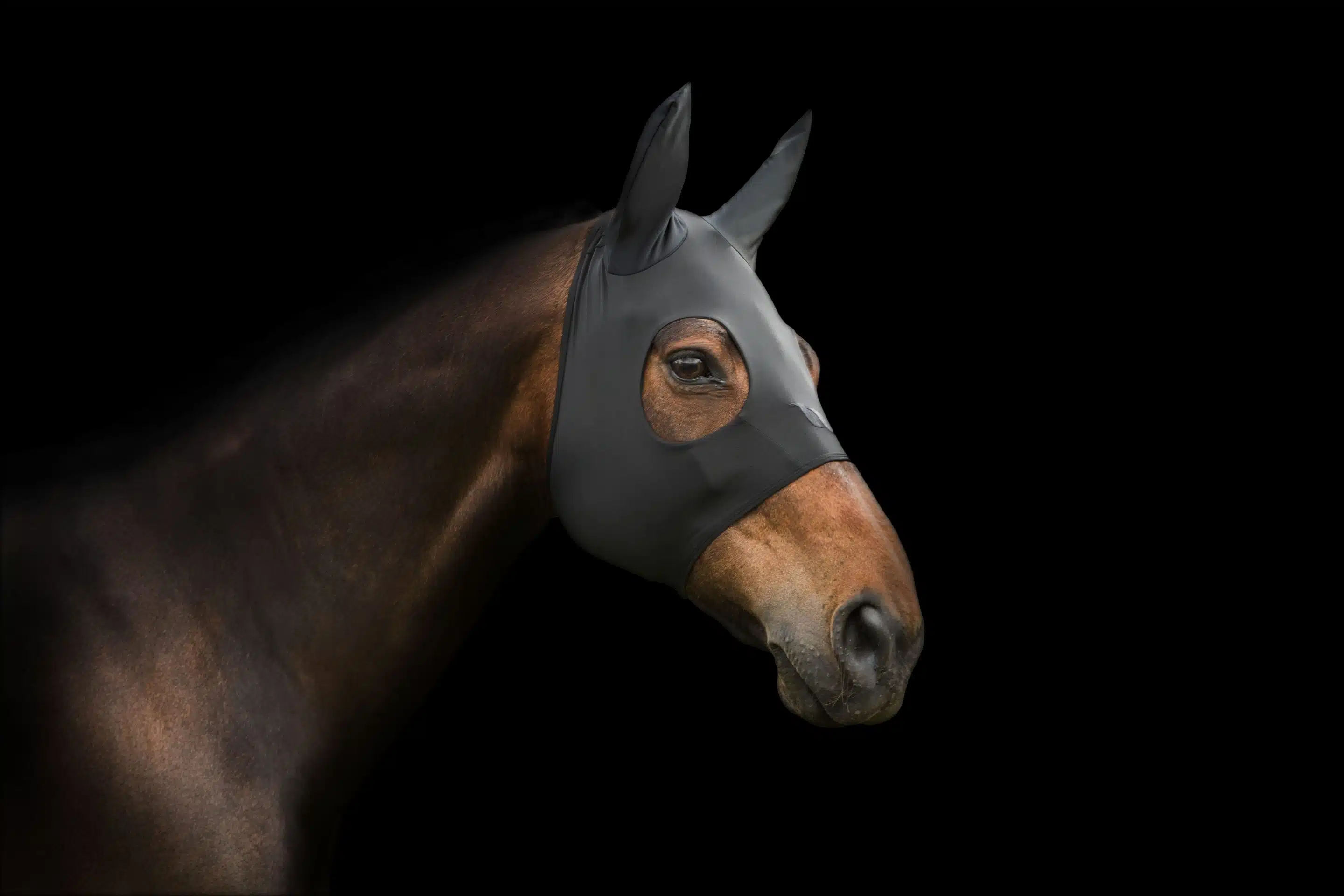 Horse Products<br />
